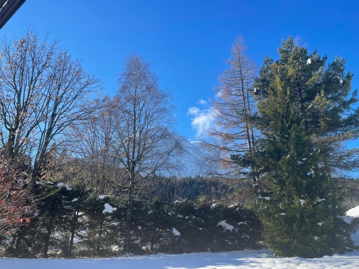 Appartamento W3 Haus Ganghofer Leutasch Esterno foto